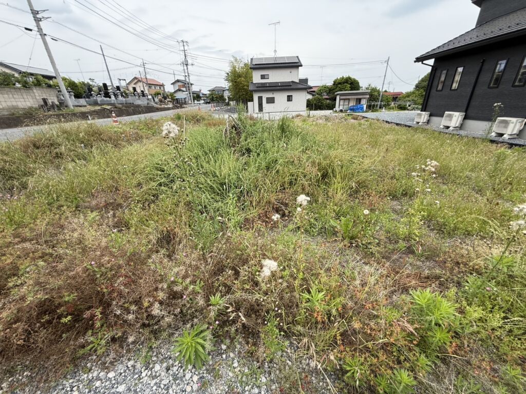 画像11