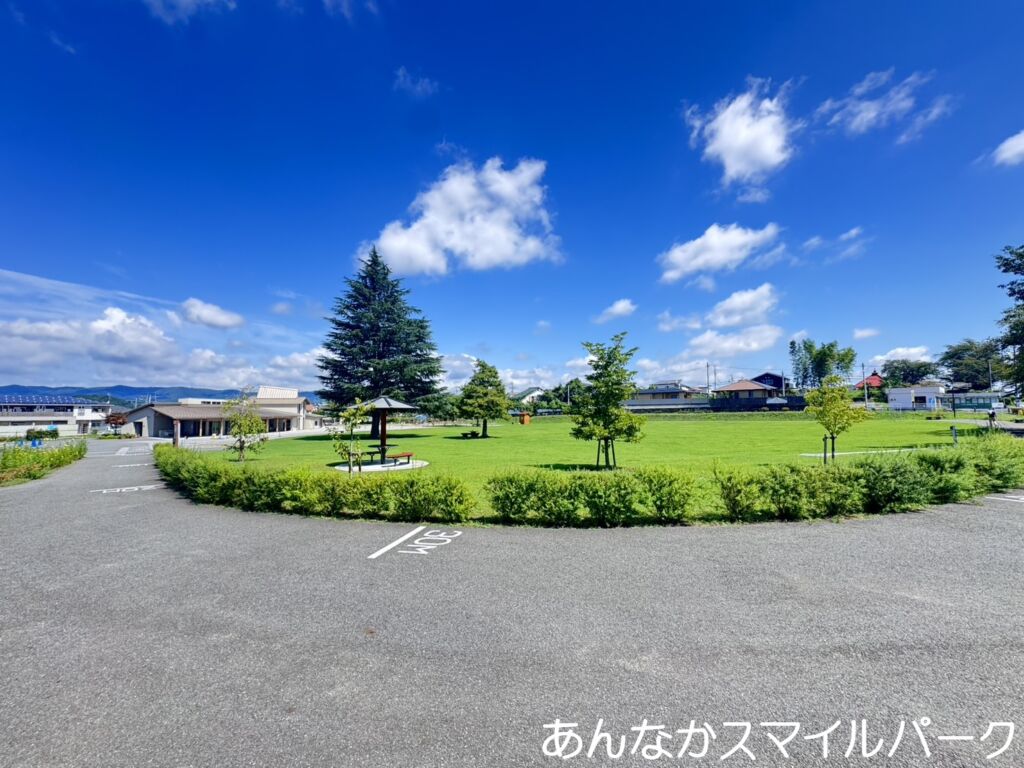 画像11