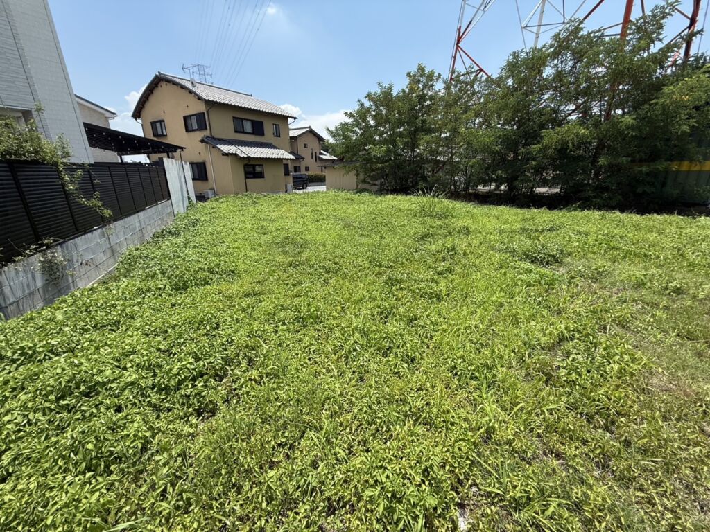 画像12