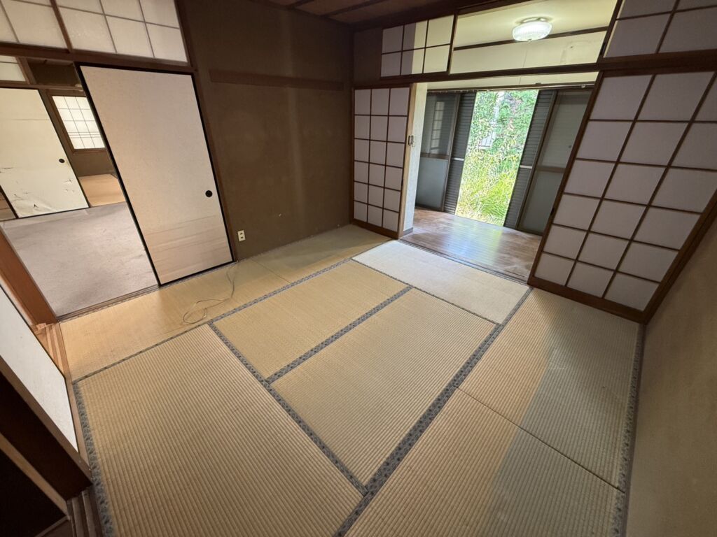 画像14