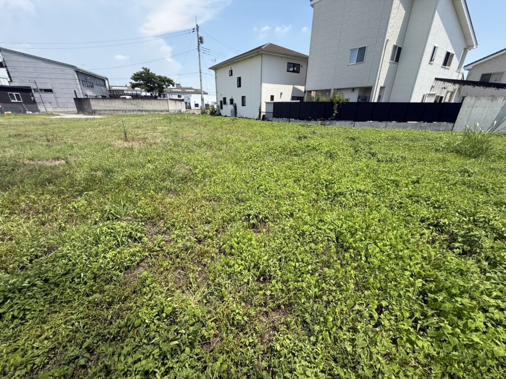 画像15