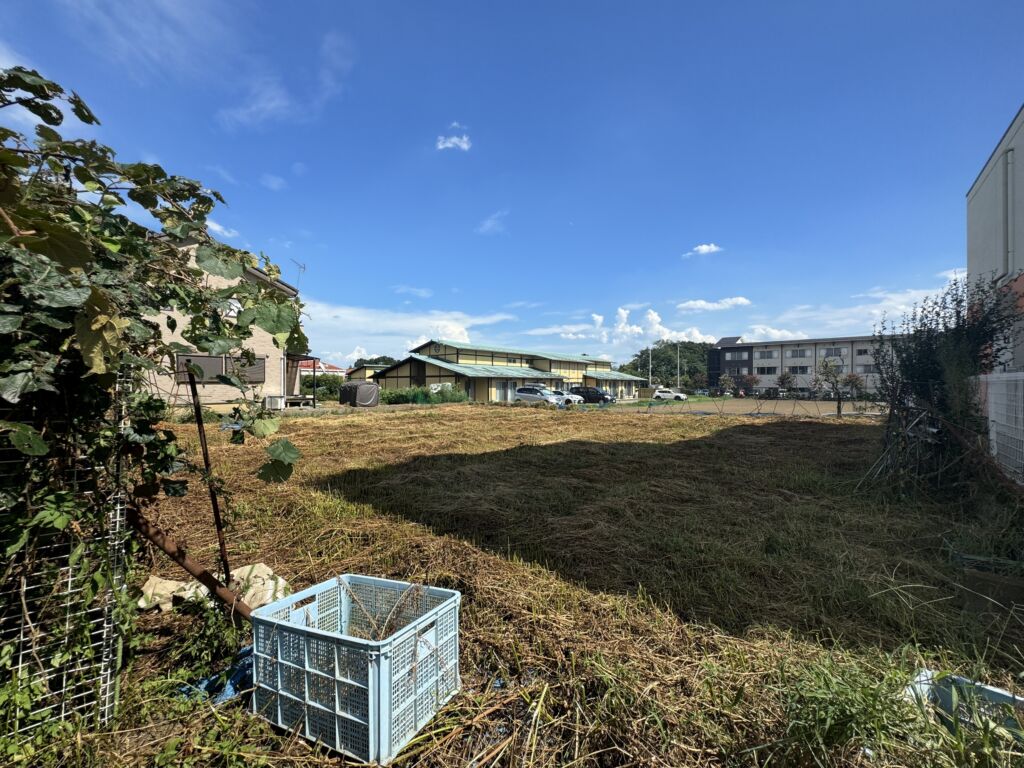 画像4