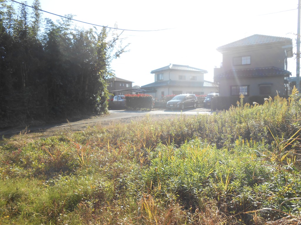 画像5