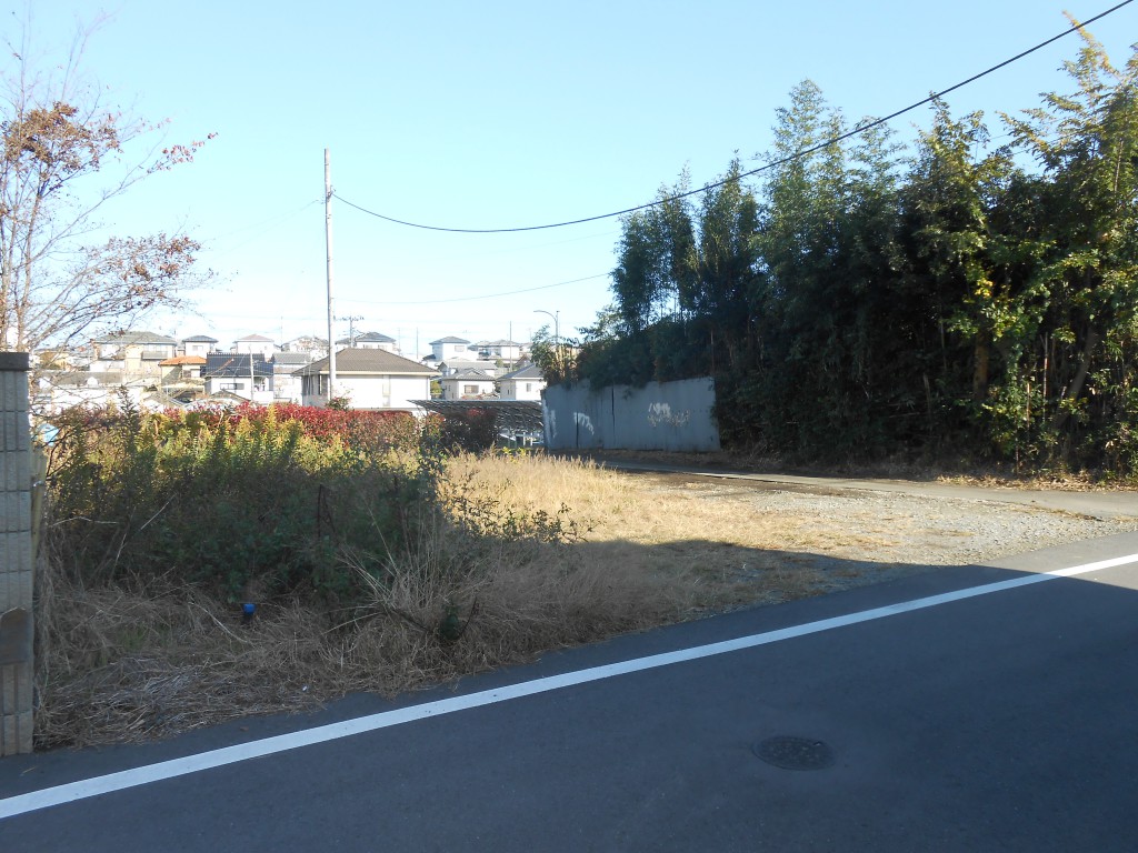 画像7
