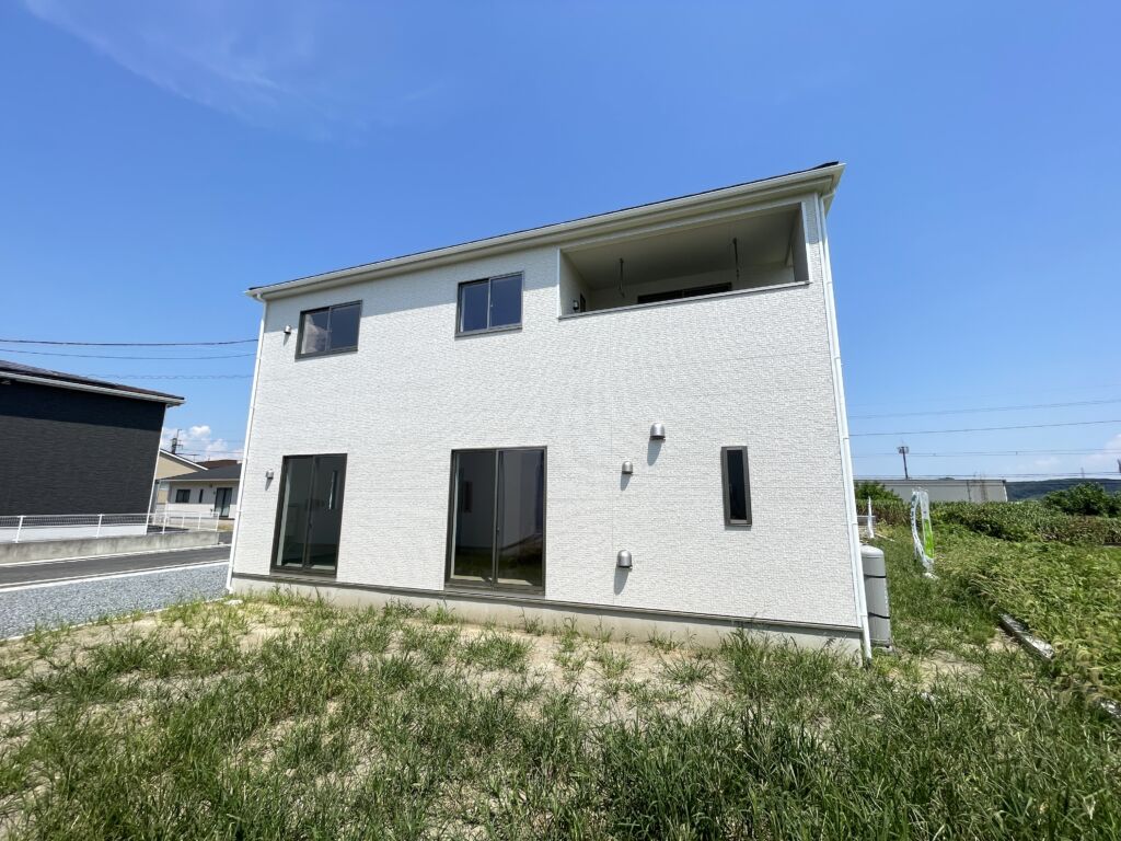 画像4