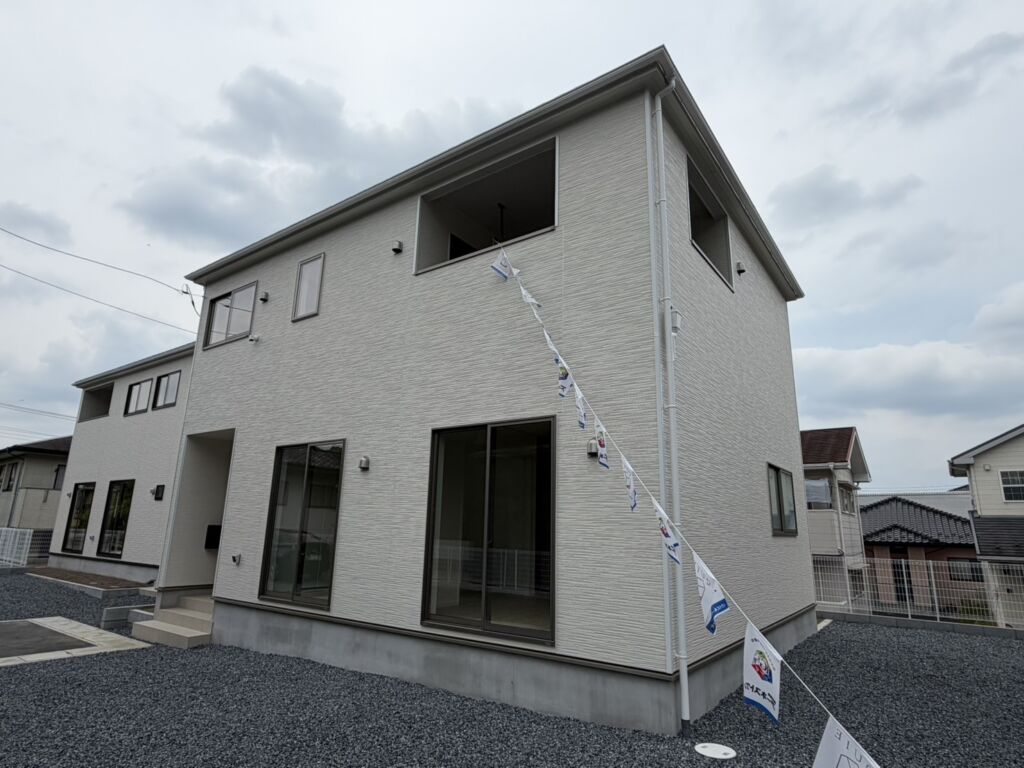 画像4
