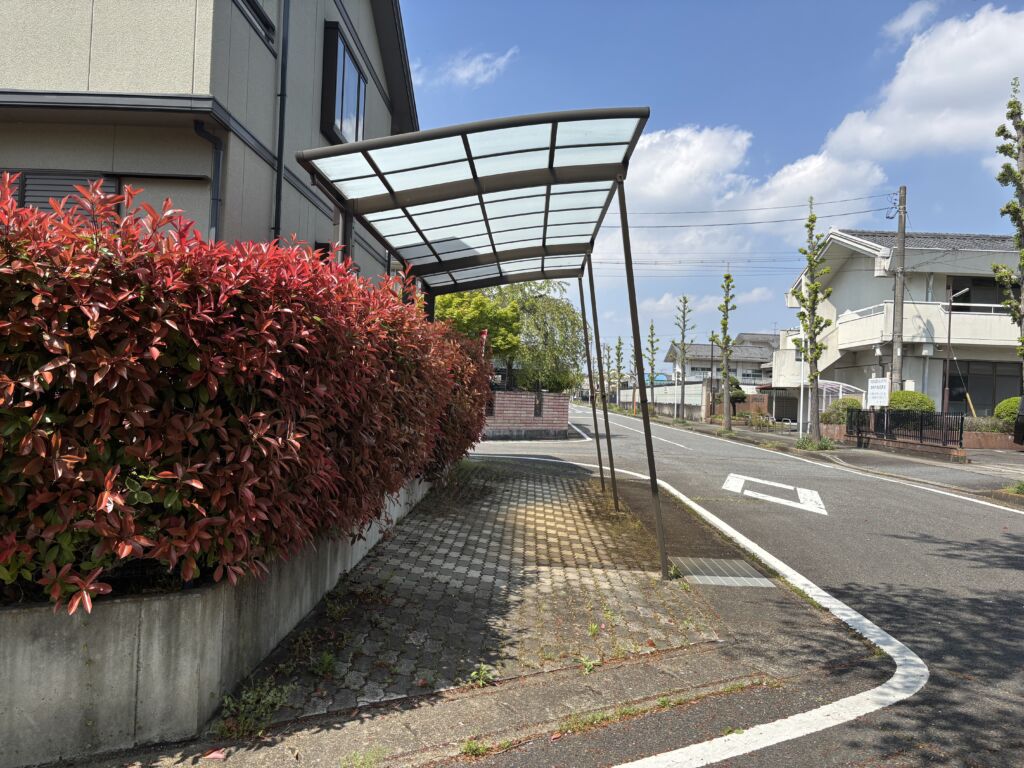 画像5