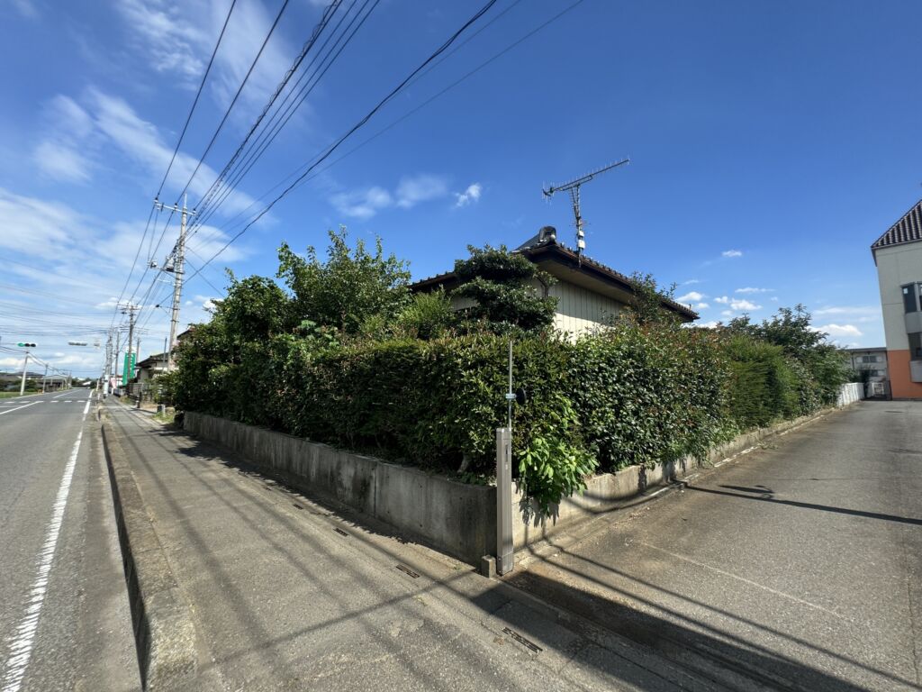 画像16