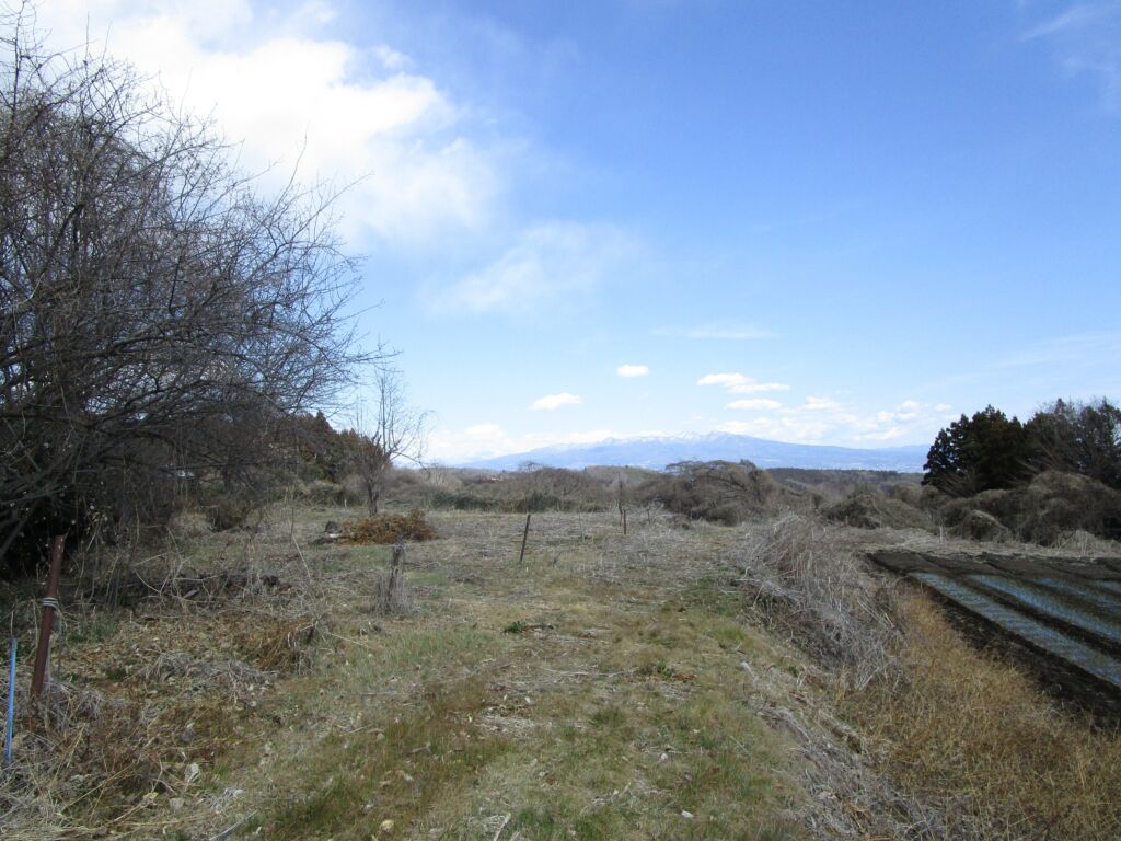 画像4