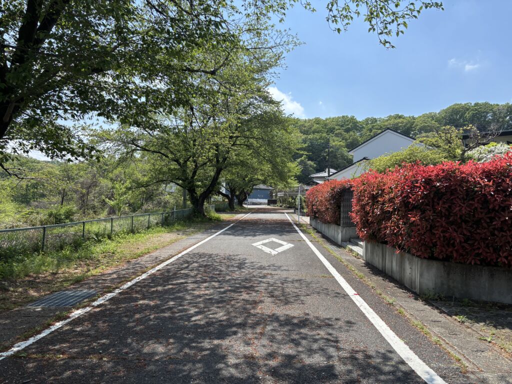 画像6