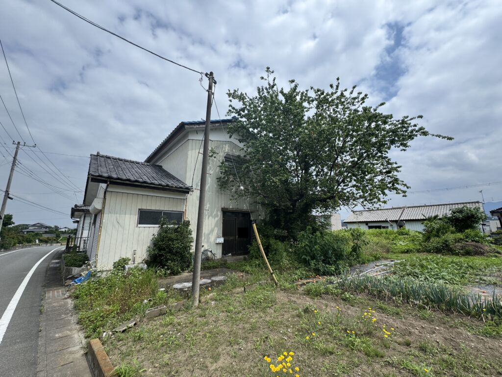 画像5