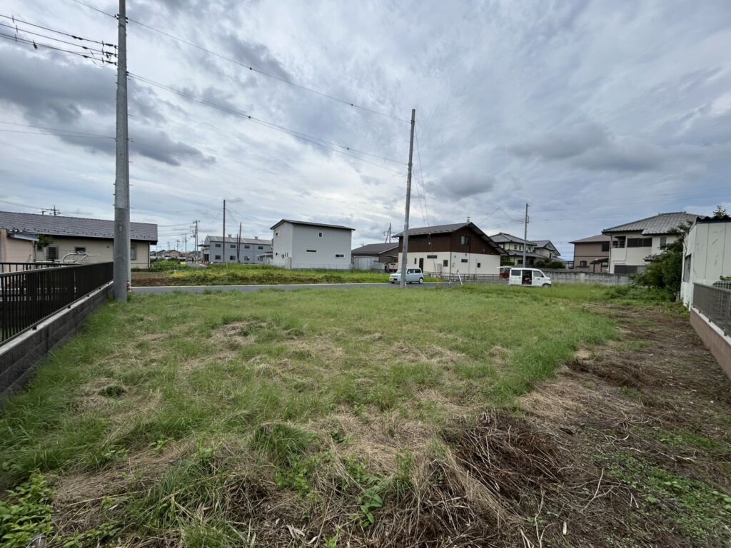 画像5