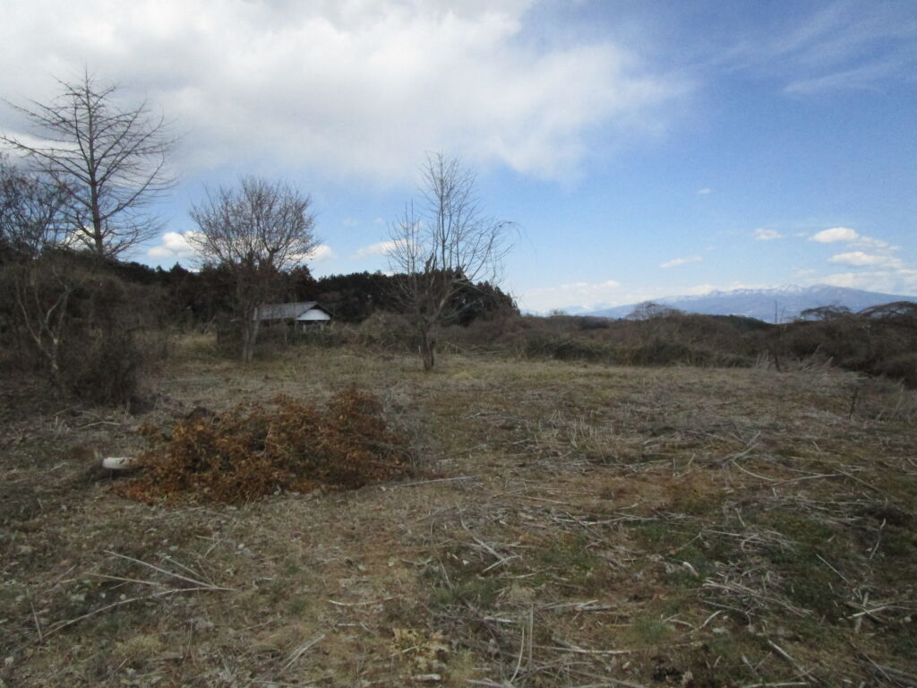 画像5