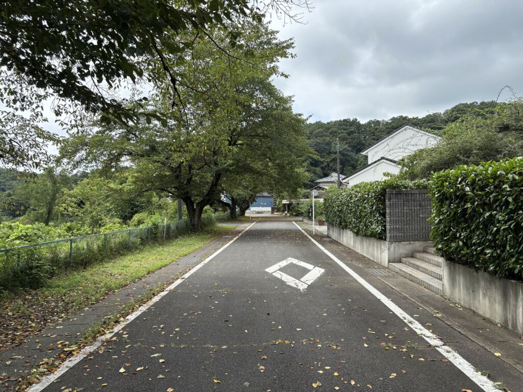 画像6