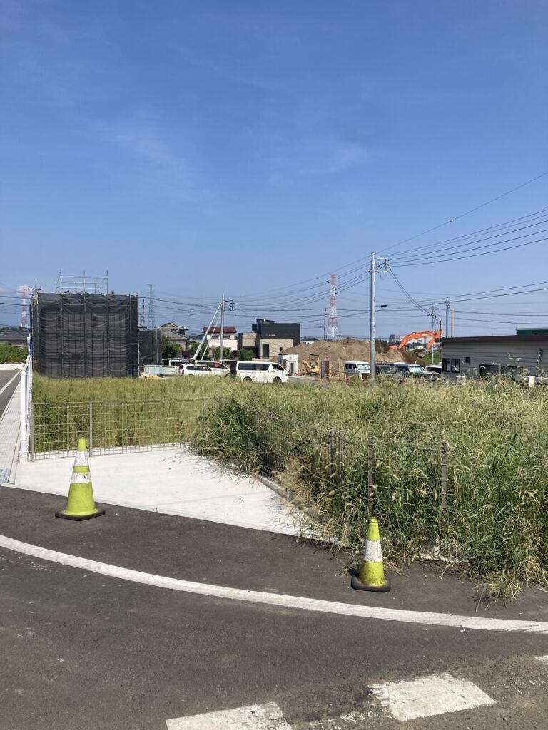 画像5