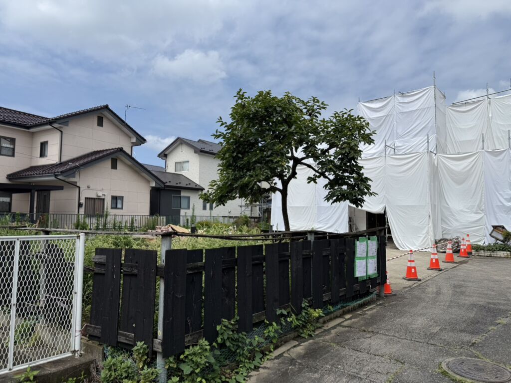 画像8