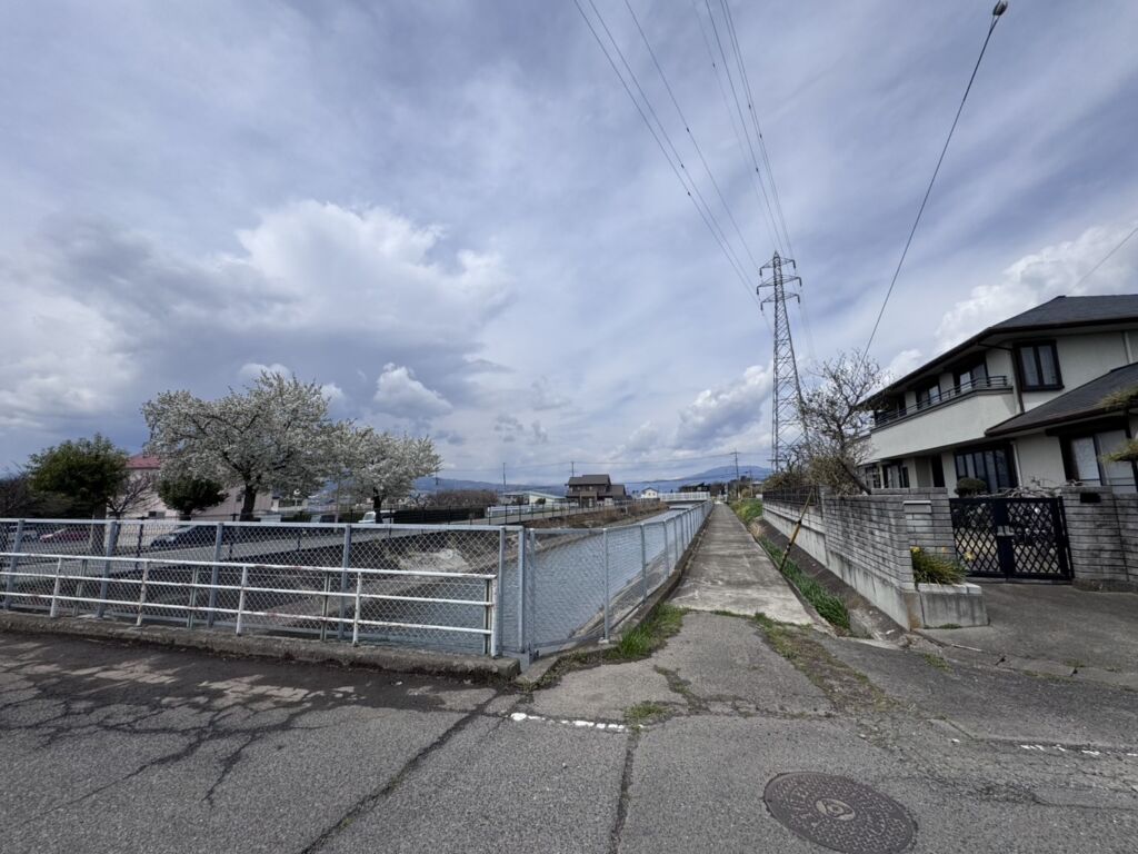 画像6