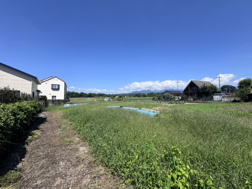 画像6