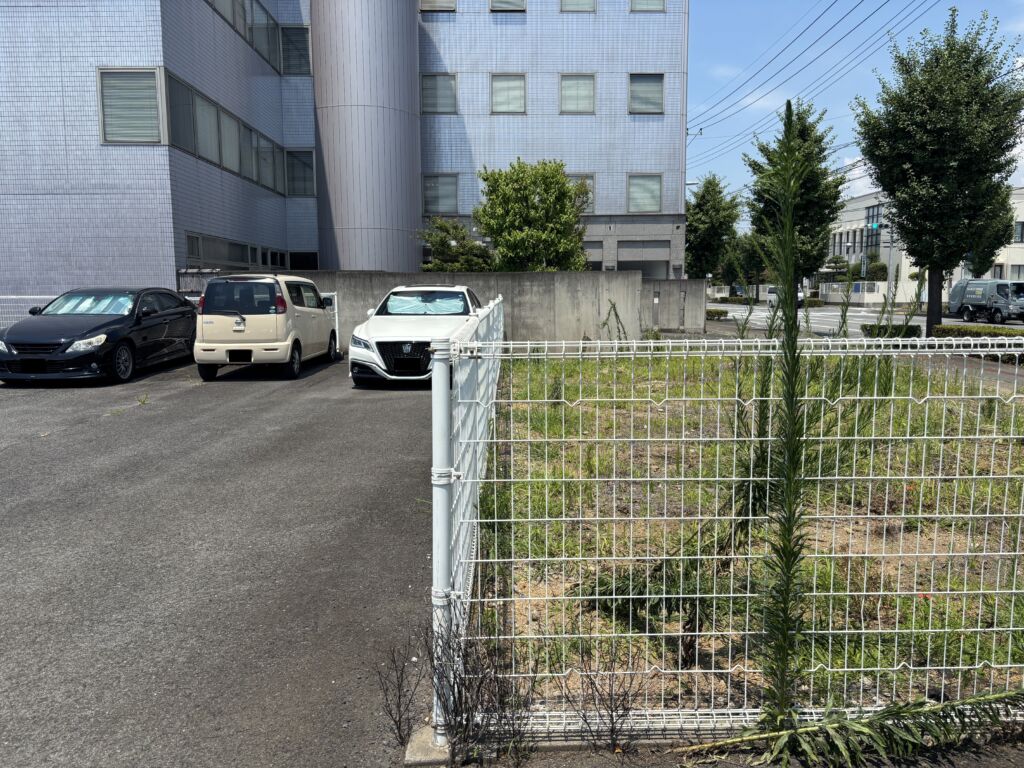 画像6