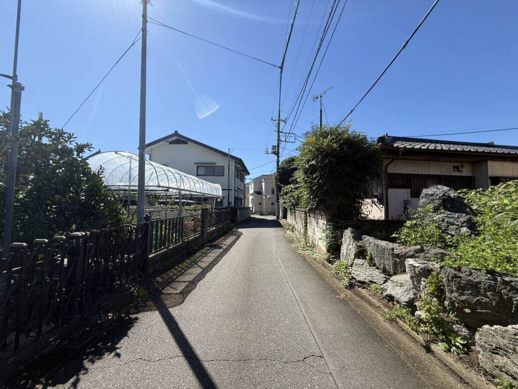 画像6