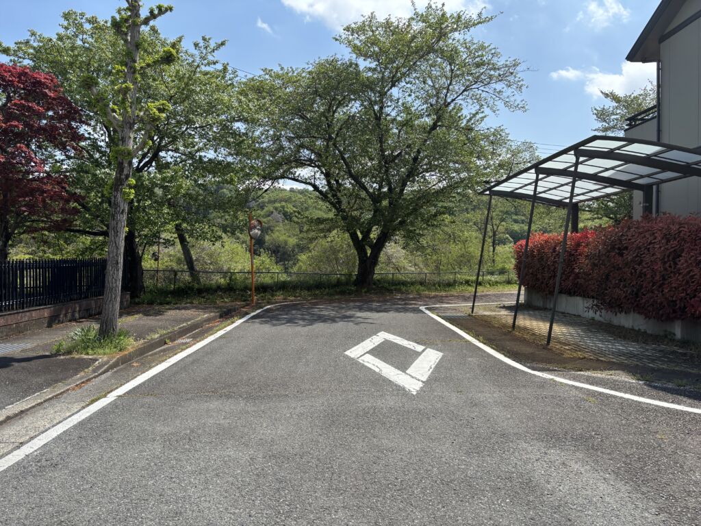 画像8