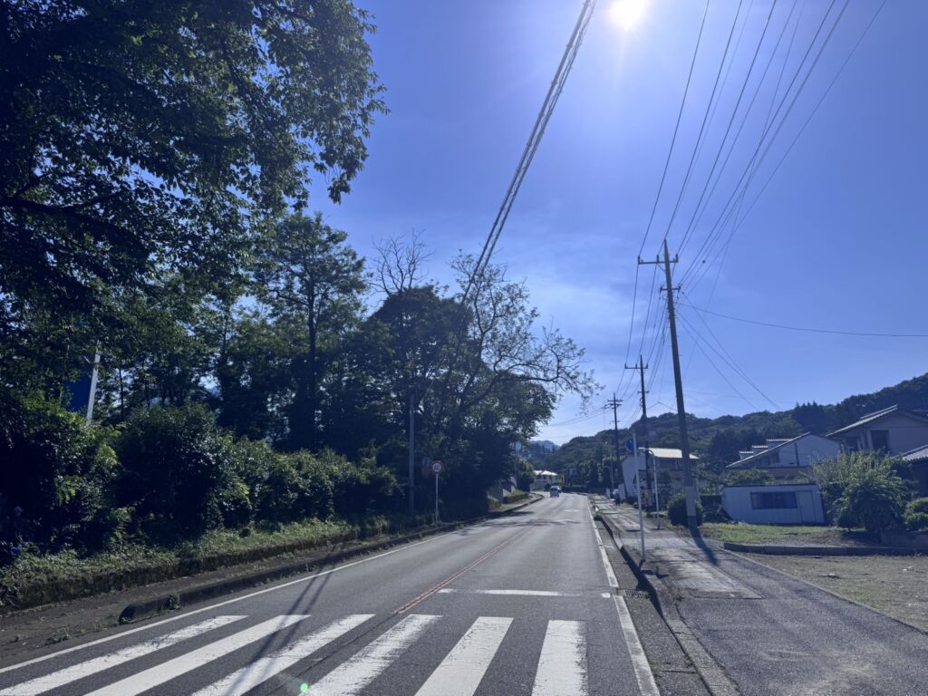 画像7