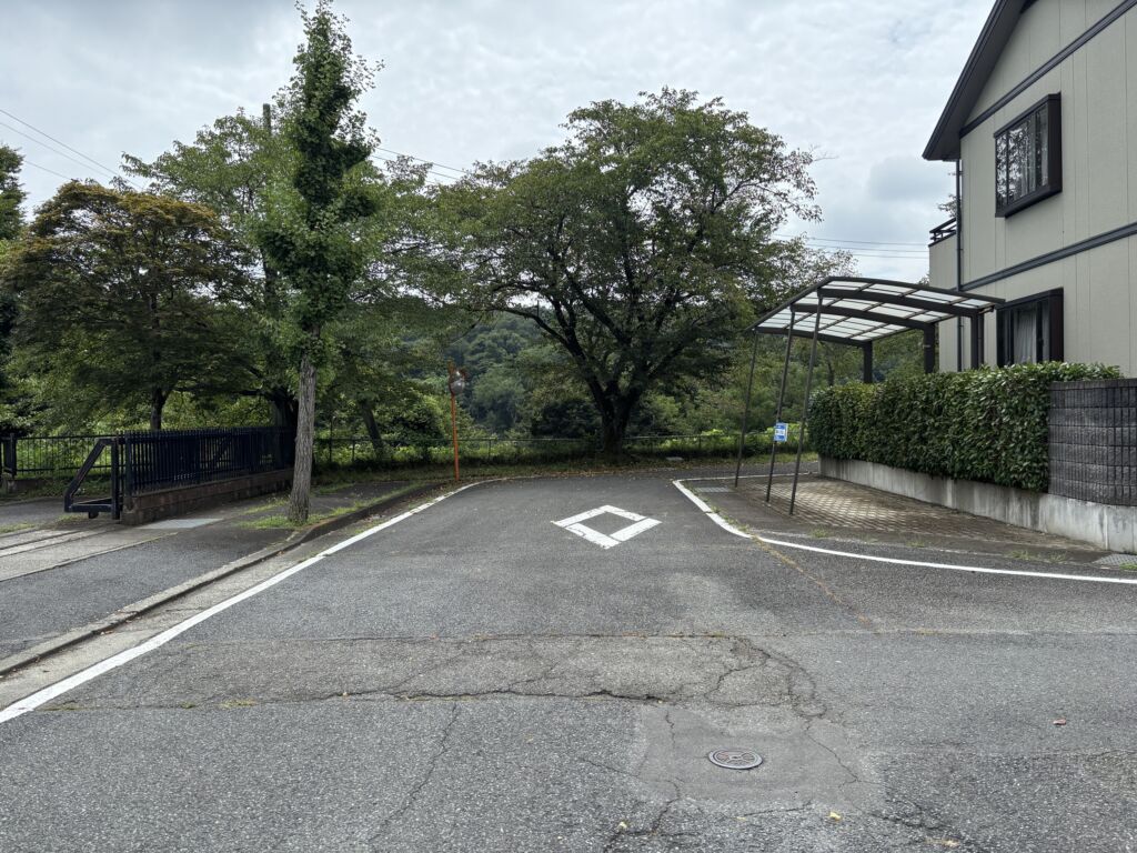 画像8