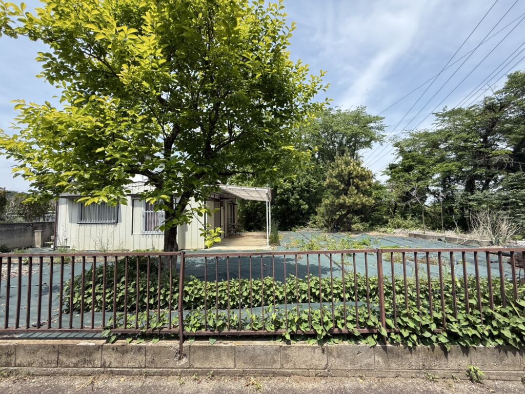 画像7