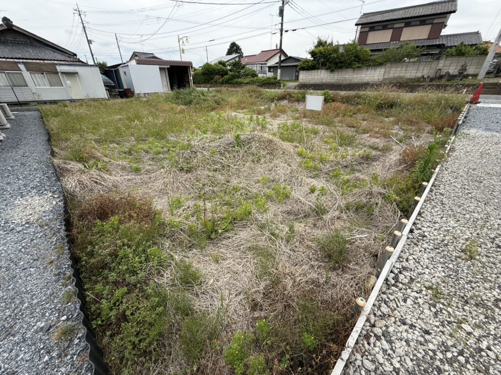 画像8