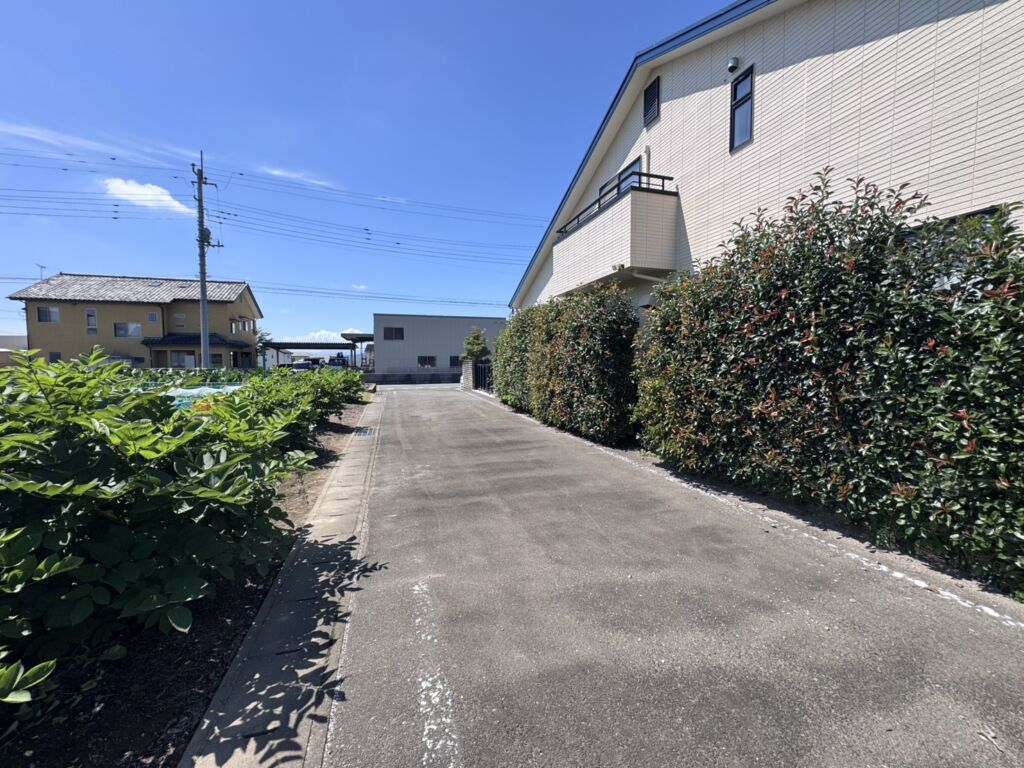 画像8