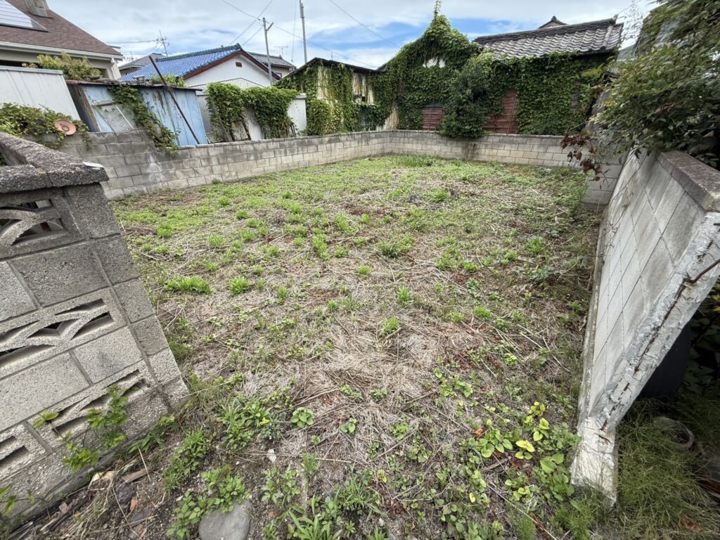 画像8