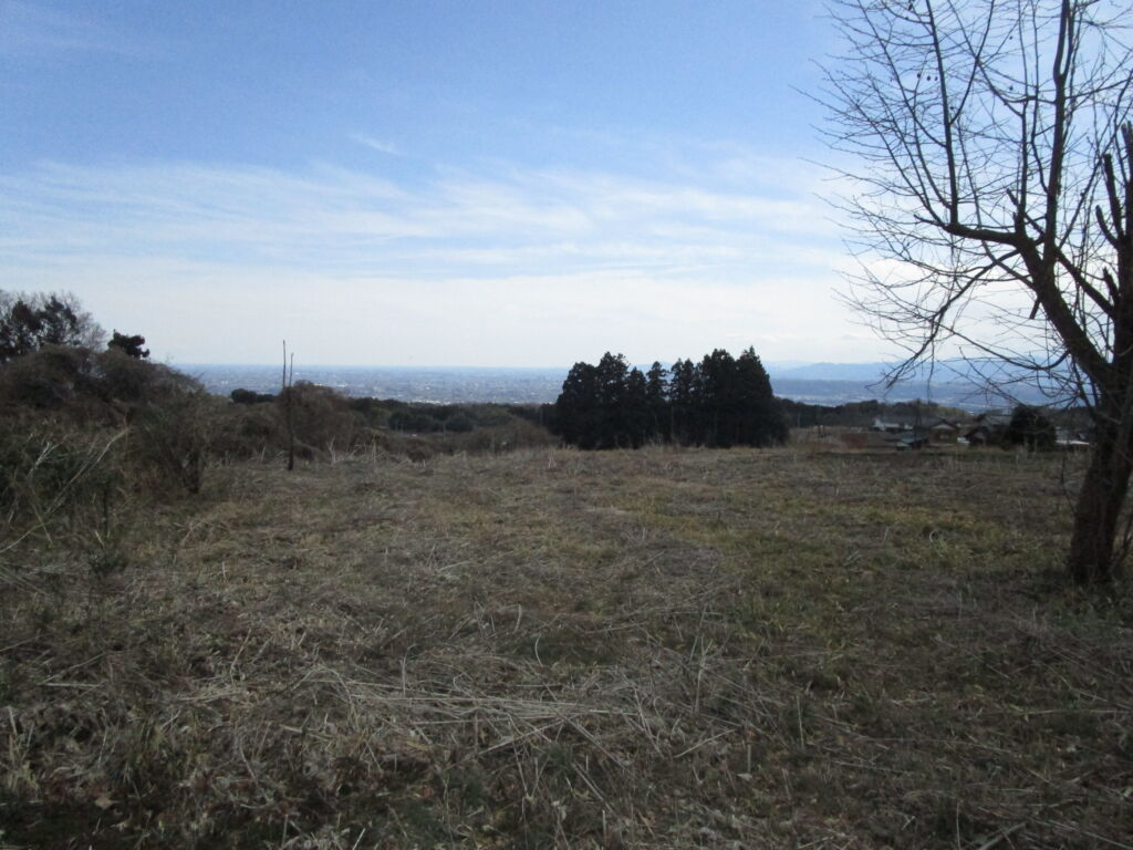 画像8