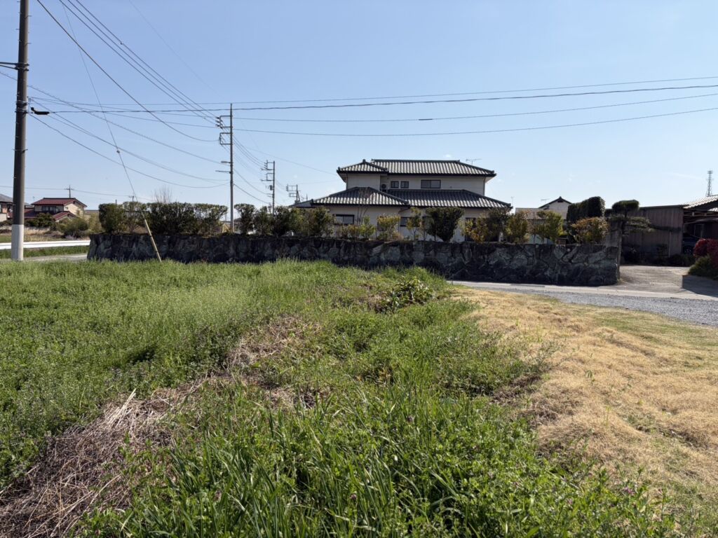 画像8