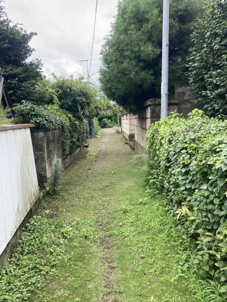 画像8