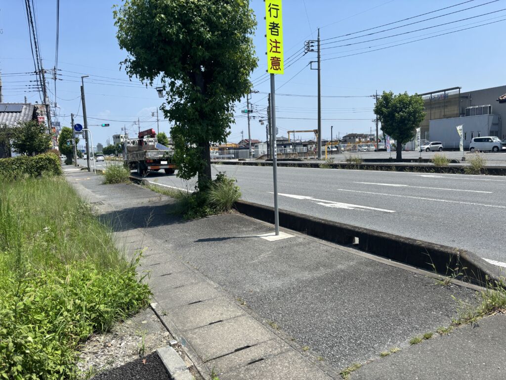 画像8