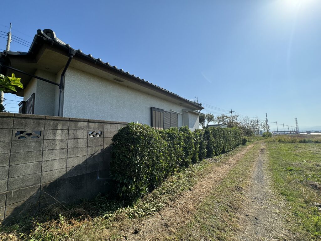 画像8
