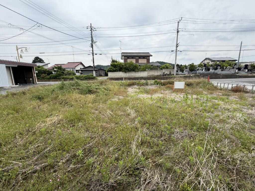 画像9