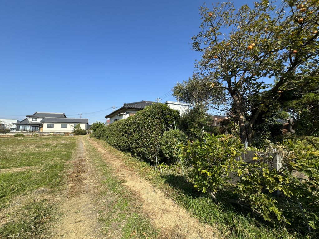 画像9