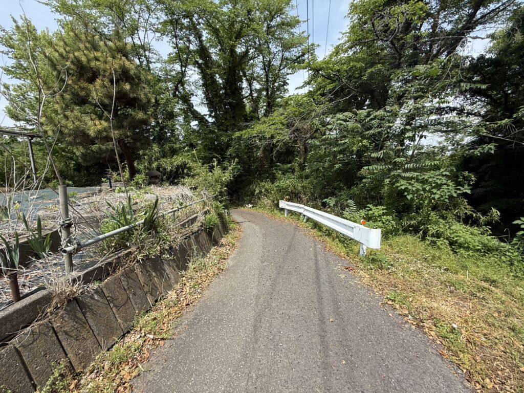画像9