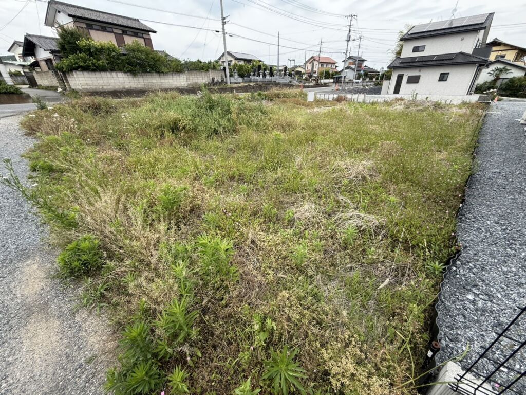 画像10