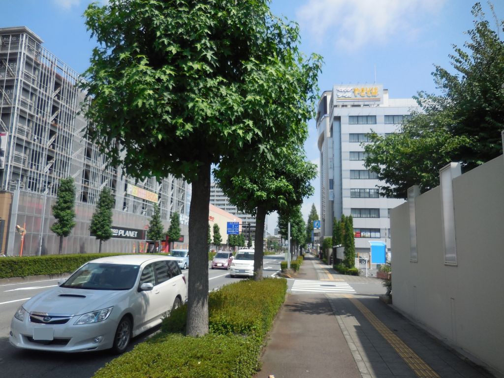 画像5