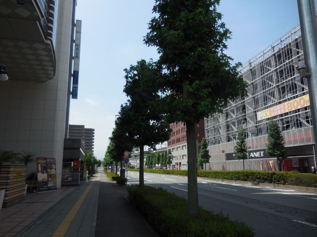 画像7