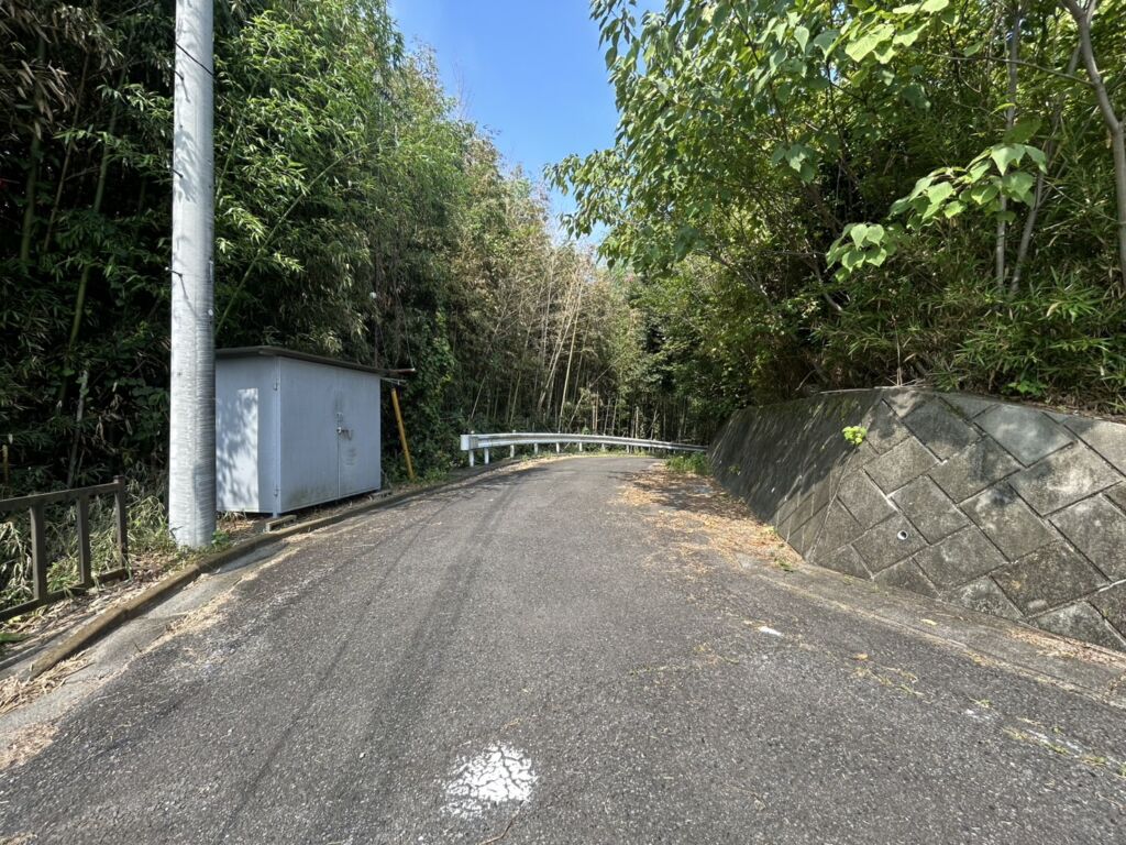 画像8